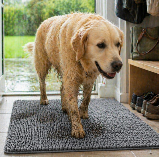 PawPerfect Deurmat | De Magische Modder-Magneet: Houd je huis moeiteloos schoon